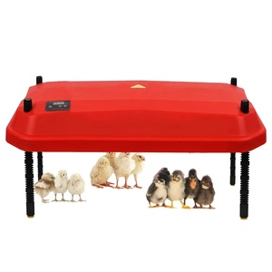 Nuova Piastra Riscaldante Rossa per Allevamento <span class=keywords><strong>di</strong></span> <span class=keywords><strong>Pulcini</strong></span> e Quaglie, 15 <span class=keywords><strong>Pulcini</strong></span>, Garanzia <span class=keywords><strong>di</strong></span> 1 Anno - Product Image 1