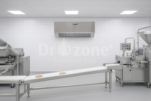 10g/h Wall Mounted Ozone Generator for Air Deodorization and Odor Control - Product Image 4