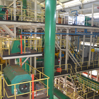 Automatische Palmvrucht Palmkern Expeller Productielijn Koolstofstaal voor Pinda Katoenzaad Soja 1000kg/u CE