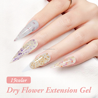 DZ NAIL Gel d'extension pour ongles à fleurs séchées, SANS HEMA, à retirer par trempage, compatible UV LED, OEM ODM, Gel de conception française, Écologique, Gel longue tenue