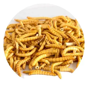 Nut trái cây khô mealworms Snack Stack Hoang Dã chim thực phẩm bánh protein cao