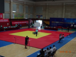 Tapis de judo standard IJF fabriqué en usine, tapis de MMA, revêtement de <span class=keywords><strong>sol</strong></span> protecteur - Product Image 5