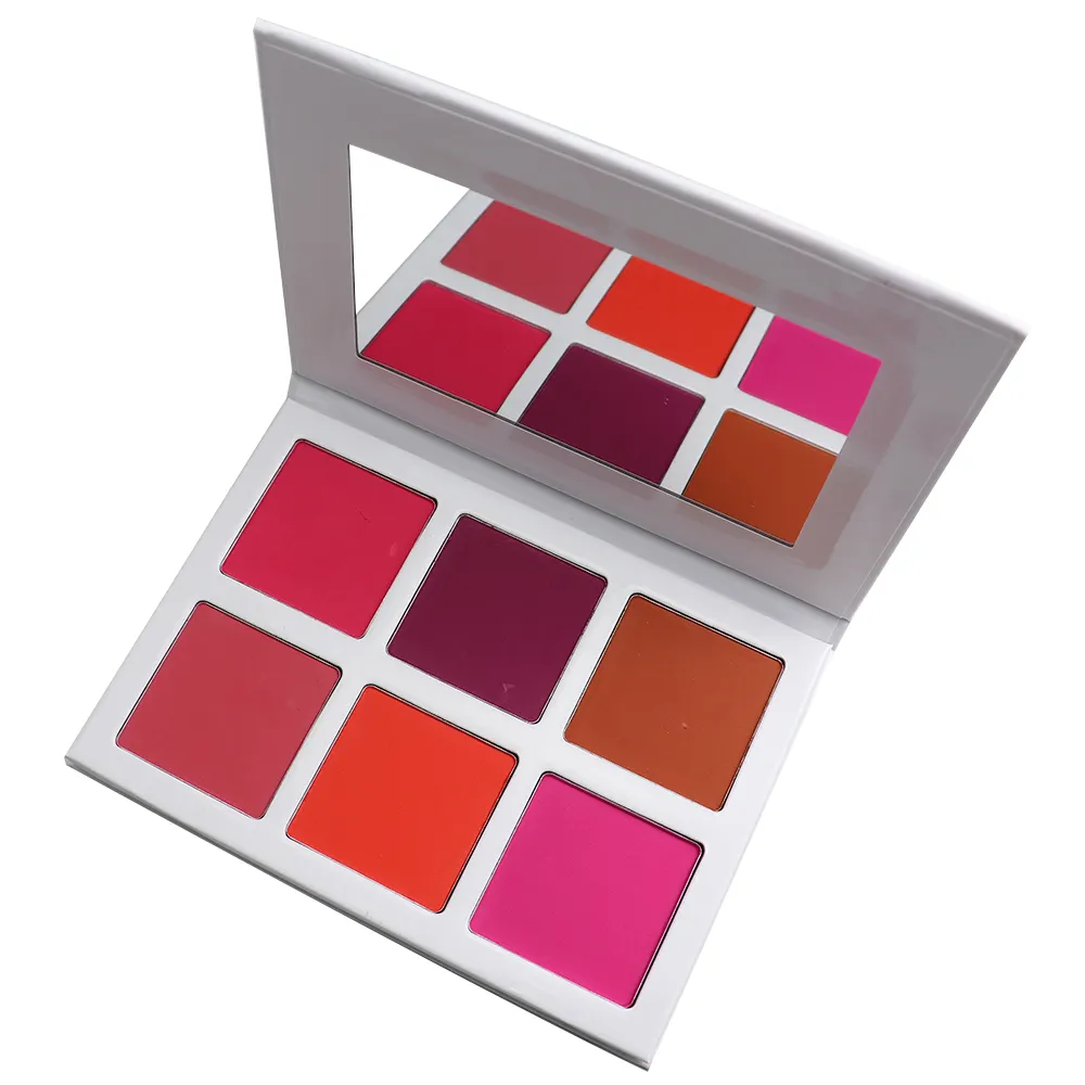 Su ordinazione del Pigmento di Trucco Blush Palette FAI DA TE 6 Colori Private Label Arrossisce Gamma di colori di Lunga Durata
