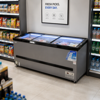 Congélateur vertical horizontal à température unique avec double vitrage supérieur pour refroidissement direct, type îlot profond