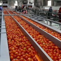 Complete Aangepaste Groente-En Fruitverwerkingslijn Tomatensap/Saus/Pulpproductie-Installatie Omate/Tomat-Verwerkingsmachine