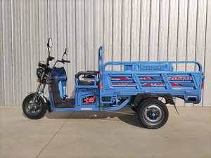 Tricycle électrique 60V très demandé pour le <span class=keywords><strong>transport</strong></span> de marchandises en usine et en agriculture - Product Image 2