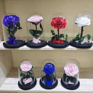 Regali di san valentino rosa stabilizzata in confezione regalo di vetro fiori stabilizzati cupola di fiori intera vendita