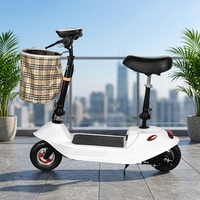 Mini scooter électrique avec batterie au plomb-acide, autonomie de 15 à 25 km, design compact et pliable pour les trajets quotidiens et la mobilité