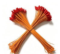 Allumeur électrique pour feux d'artifice et pétards, fil de cuivre de 0,3 m, allumette à fusible