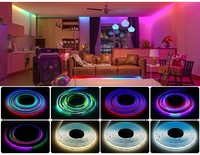 FCOB SPI RGBWW IC bande lumineuse LED 784 LED WS2814 couleur de rêve adressable 10mm DC24V SK6812 lumières FOB COB haute Flexible