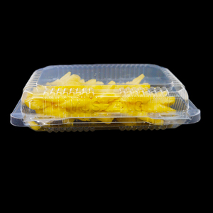 disposable container takeaway food plastic