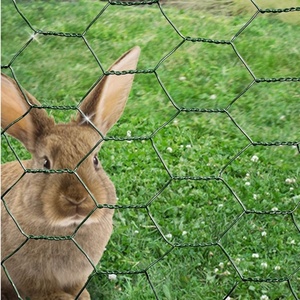 Galvanized Hexagonal <strong>Wire</strong> Mesh Poultry <strong>Netting</strong> Chicken <strong>Wire</strong> for Farm Bird and Rabbit Enclosure Fence - Product Image 6