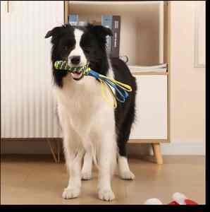 Jouets à mâcher durables et écologiques en nylon pour animaux de compagnie Jouets interactifs pour animaux de compagnie - Product Image 4