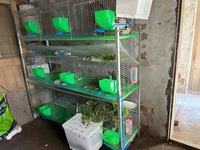 Cage à lapins galvanisée renforcée de qualité supérieure, neuve, à 3 niveaux, en treillis métallique de type H, de qualité alimentaire, pour l'élevage à grande échelle