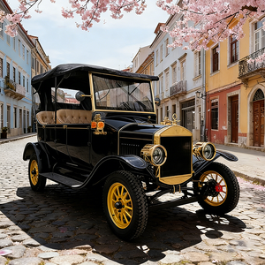 Modelo T, 5 Plazas, Autos Eléctricos Vintage, Carrito de Golf Eléctrico, Autobús Turístico en Venta - Product Image 1