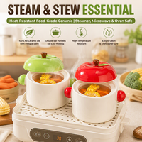 Casserole en céramique mignonne en forme de pomme, 480 ml, à double couvercle, résistante à la chaleur, pour desserts et ragoûts, directement de l'usine