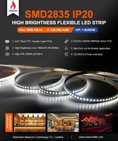 Bande LED flexible 12V étanche IP68 2835 SMD haute luminosité pour décoration intérieure de voiture/camping-car et éclairage diurne
