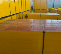 Contreplaqué de coffrage en béton 12mm 15mm 18mm 21mm 4x8 1220x2440mm avec noyau en eucalyptus collé WBP pour la construction, taille personnalisée OEM