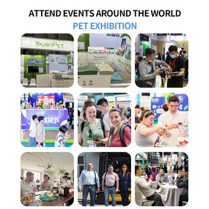 <span class=keywords><strong>Arena</strong></span> para Gatos de Venta Directa de Fábrica, OEM ODM, al por Mayor, la Mejor, Ecológica, 100% Natural, Libre de Polvo, <span class=keywords><strong>Arena</strong></span> de Tofu para Gatos - Product Image 4