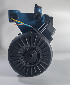 Pompa d'Acqua Tipo <span class=keywords><strong>San</strong></span> GP-125 da 125W per il Mercato Indonesiano, Nuovo Modello Fornito dalla Fabbrica - Product Image 4