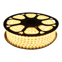 Bande lumineuse LED monocolore LangChi Premium 2835 SMD, ruban linéaire, décoration de plafond, éclairage extérieur, guirlande lumineuse