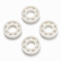 Roulement à billes ouvert en plastique 6005 25x47x12mm avec anneaux en POM, billes en verre et cage en nylon, léger et isolant pour applications de lavage et machines alimentaires