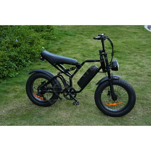 Bicicleta Eléctrica de Alta Calidad Ecoride 500w para Adultos, Bicicleta Eléctrica de Largo Alcance 13ah para Adultos, Bicicleta Eléctrica Europea de Fábrica - Product Image 3