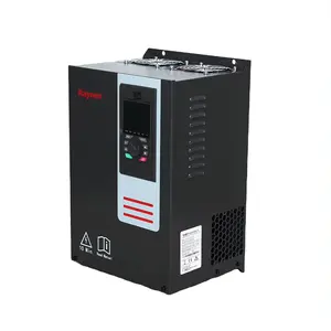 레이넨 철 쉘 3 상 30kw 380v variador de frecuencia 주파수 인버터 일반 모터 용 이중 CPU