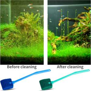 Bol de <span class=keywords><strong>poisson</strong></span> <span class=keywords><strong>rouge</strong></span> d'aquarium transparent créatif avec décoration de bureau de réservoir de tortue ronde sphérique en matière plastique - Product Image 6