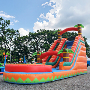 Bestseller Opblaasbare Waterglijbaan voor Volwassenen, Springkastelen, Opblaasbare Waterglijbaan, Kleine Waterparken - Product Image 1