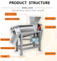 Industriële sapcentrifuge, commerciële koudpers voor fruit en groenten, appelpersmachine van roestvrij staal, sinaasappel-, citrus- en citroensapcentrifuge
