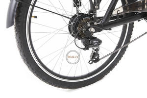 2025 nouveau Tricycle électrique à chargement frontal à 3 roues Transport Tricycle adulte avec caisse en bois vélo électrique <span class=keywords><strong>remorque</strong></span> de cargaison - Product Image 5