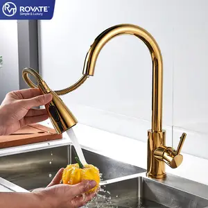 ROVATE Keran Dapur Tarik 2Mode, Keran Dapur Berputar 360, Emas, Keran Dapur Gaya Modern, Profesional, Tarik Ke Bawah