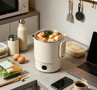 Casserole électrique portable en acier inoxydable, design pliable pour les voyages, avec isolation thermique