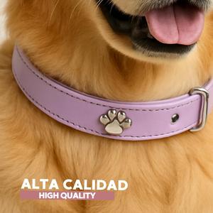 Collare per Cani Yommy Rosso Regolabile con Fibbia in Metallo e Design con Impronta della Zampa, Collare di Sicurezza per Animali Domestici - Product Image 2