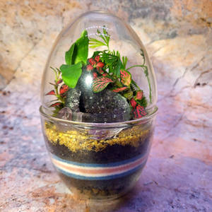 Forma di uovo vaso di vetro trasparente fioriera <span class=keywords><strong>per</strong></span> piante grasse decorazione di fiori di muschio - Product Image 1