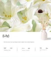 Diffuseur d'arômes en céramique avec bâtonnets, vase, bouteille de fleurs, huile parfumée, coffret cadeau 30 ml, écologique, sans phtalates, sans parabènes, parfum