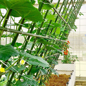 Cọc đỡ cây leo, cọc đỡ hoa, giá đỡ cà chua, cọc thép, cột nông nghiệp, trụ nhà kính, cọc vườn - Product Image 3