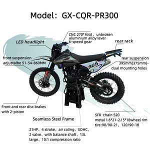 GX-CQR-PR300 Motocicleta Todoterreno Eléctrica de 21 HP, Motor de 4 Tiempos y 300 cc, 2 Pistones, Refrigeración por Aire, SOHC, 2 Válvulas, Freno de Disco Doble, NIBBI PE30, 6 Velocidades - Product Image 3