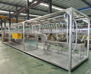 Máy nhổ lông gà chất lượng cao, máy giết mổ gà, dây chuyền giết mổ gà - Product Image 5