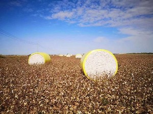 Film d'emballage plastique coloré pour ensilage et balles de coton, modèle 7760 / CP690, pour moissonneuses-batteuses - Vente chaude - Product Image 1