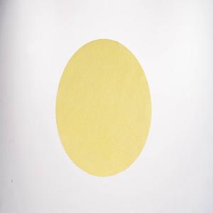 Tapis en silicone antiadhésifs modernes pour déshydrateur, drap antidérapant, sécheur de nourriture, tapis en maille réutilisable pour cuiseur vapeur, antidérapant pour tapis - Product Image 2