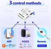Mini relais intelligent Wi-Fi Tuya DIY RF 433 MHz 1 canal DC AC 9V 12V 24V USB 5V, interrupteur de télécommande sans fil pour ventilateur Google Alexa