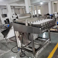 Bosbessen Sorteermachine Lychee Abrikozendata Blueberry Lineaire Weegverpakkingsmachine Lijn