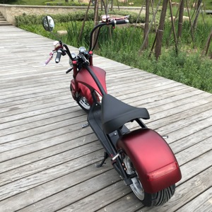 Scooter Eléctrico con Certificación EEC COC Emark, Disponible en Almacén Europeo, Bicicleta de Dos Ruedas Autoequilibrada para Adultos - Product Image 6