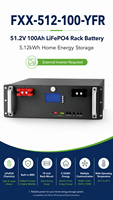 Baterai LiFePO4 51.2V 100Ah 5.12kWh Terpasang di Dinding dengan BMS Terintegrasi, 6000 Siklus, Untuk Penyimpanan Energi Surya Rumah, Sistem Off Grid Rumah Tangga