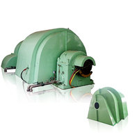 Turbin Generator Pelton Listrik Tenaga Air Sekrup Archimedes/Pabrik Cina/Turbin Pelton Harga