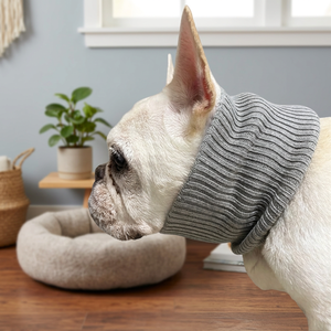 Thick Knit Sustainable Wool oyster Shell Display Dog Collar - Product Image 1