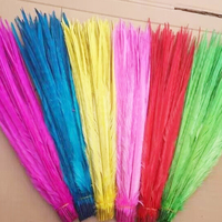 Plumes de faisan blanchies et teintes de 18-20 pouces pour la décoration de robes de carnaval et l'artisanat – Vente en gros 2025