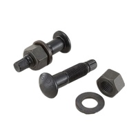 S10T Tc Bolt Hoge Spankracht Bolt Grade 10.9 Bouten Voor Stalen Gebouw